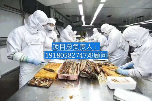 普瑞瑪扳手泵 報(bào)價(jià)、廠家與軟件代理服務(wù)全解析